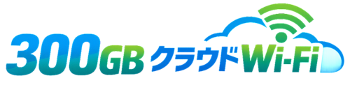 300GB �ǂ��ł��g���x���h���C�uWi-fi �����^��Wi-fi�@���ł����OK�@�Z���_��OK�}�J�����S�@�}���`�L�����A���