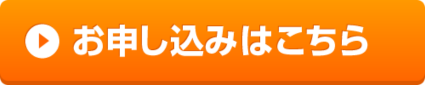 �����C�O�Ŏg���郌���^��Wi-fi �����Ղ�M�KWi-fi �����^��Wi-fi ���ł����OK �Z���_��OK �f�[�^�l�b�g���[�N�T�[�r�X